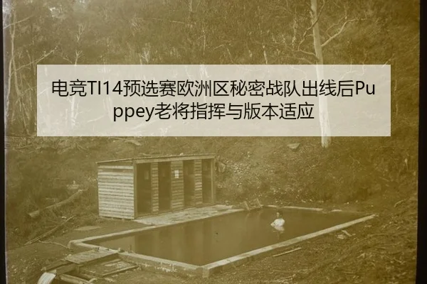 dian-jing-yu-xuan-sai-ou-zhou-qu-mi-mi-zhan-dui-chu-xian-hou-lao-jiang-zhi-hui-yu-ban-ben-shi-ying-2-102.jpg